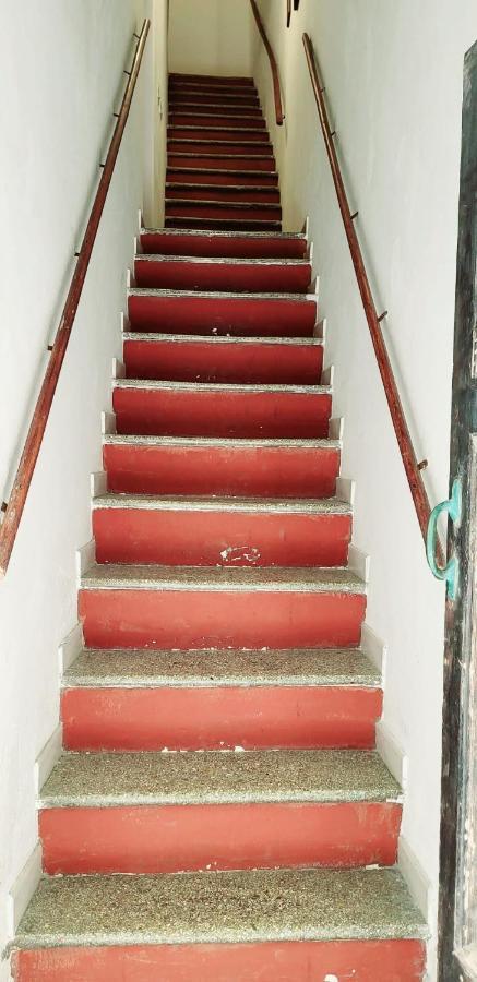 Ferret Apartment Алгеро Екстериор снимка